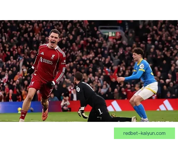 利兹联中路渗透效果明显，持续提升球队进攻竞争力