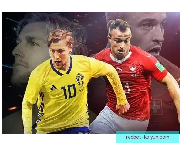 欧洲杯预选赛归化球员表现稳健，未来前景值得关注