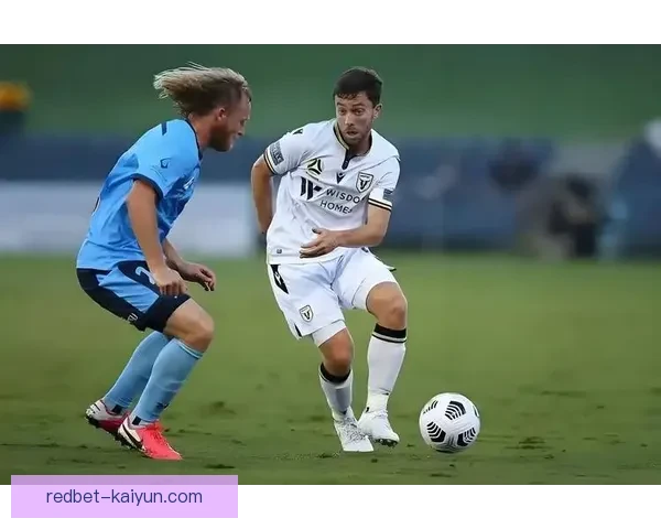 桑德兰球迷回归，主场助威状态回暖，球队期待良好表现